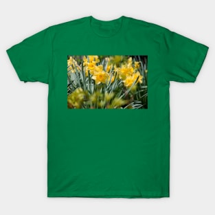 Daffodils T-Shirt